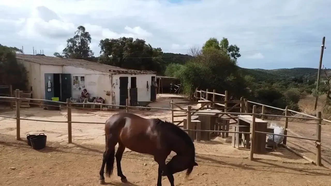 Horse riding in the Algarve countryside at Quinta Paraíso Alto