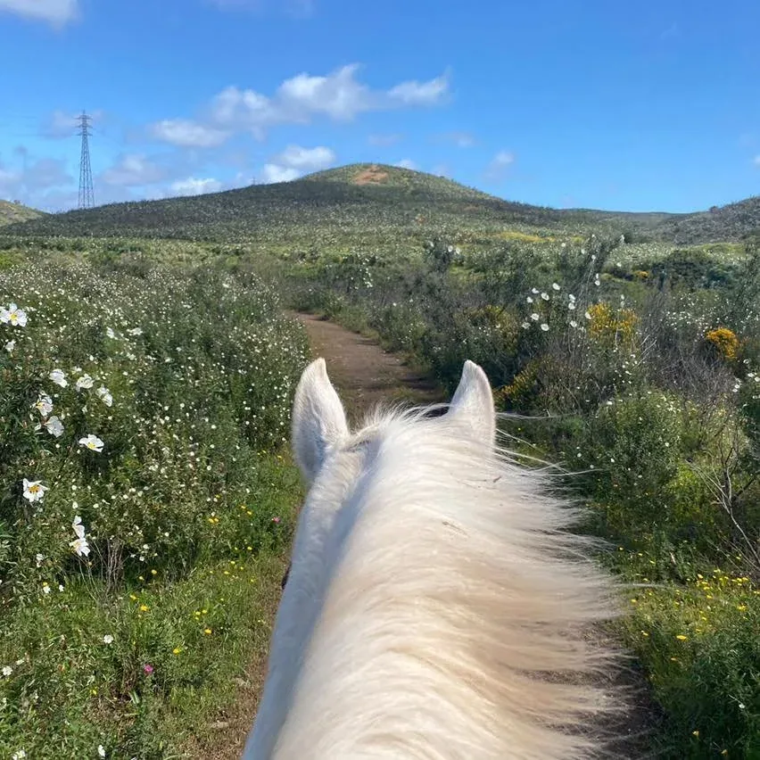 Two-hour trail ride through Algarve hills